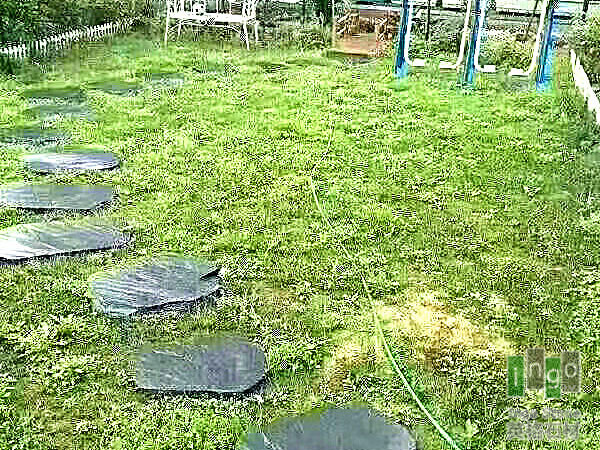 不规则倒角汀步石