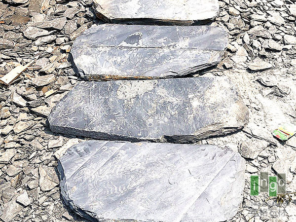 不规则倒角汀步石